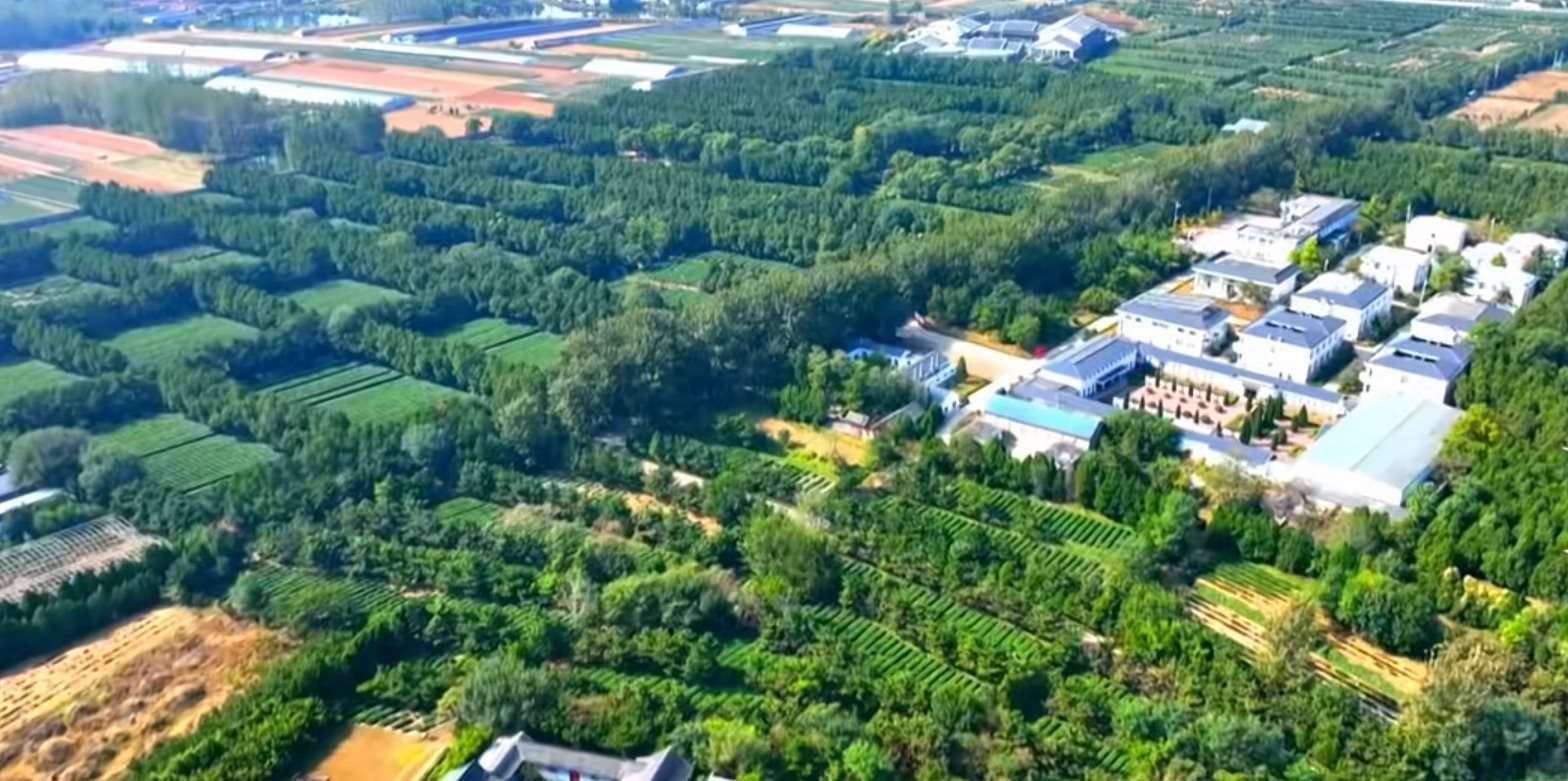 茶山牧场